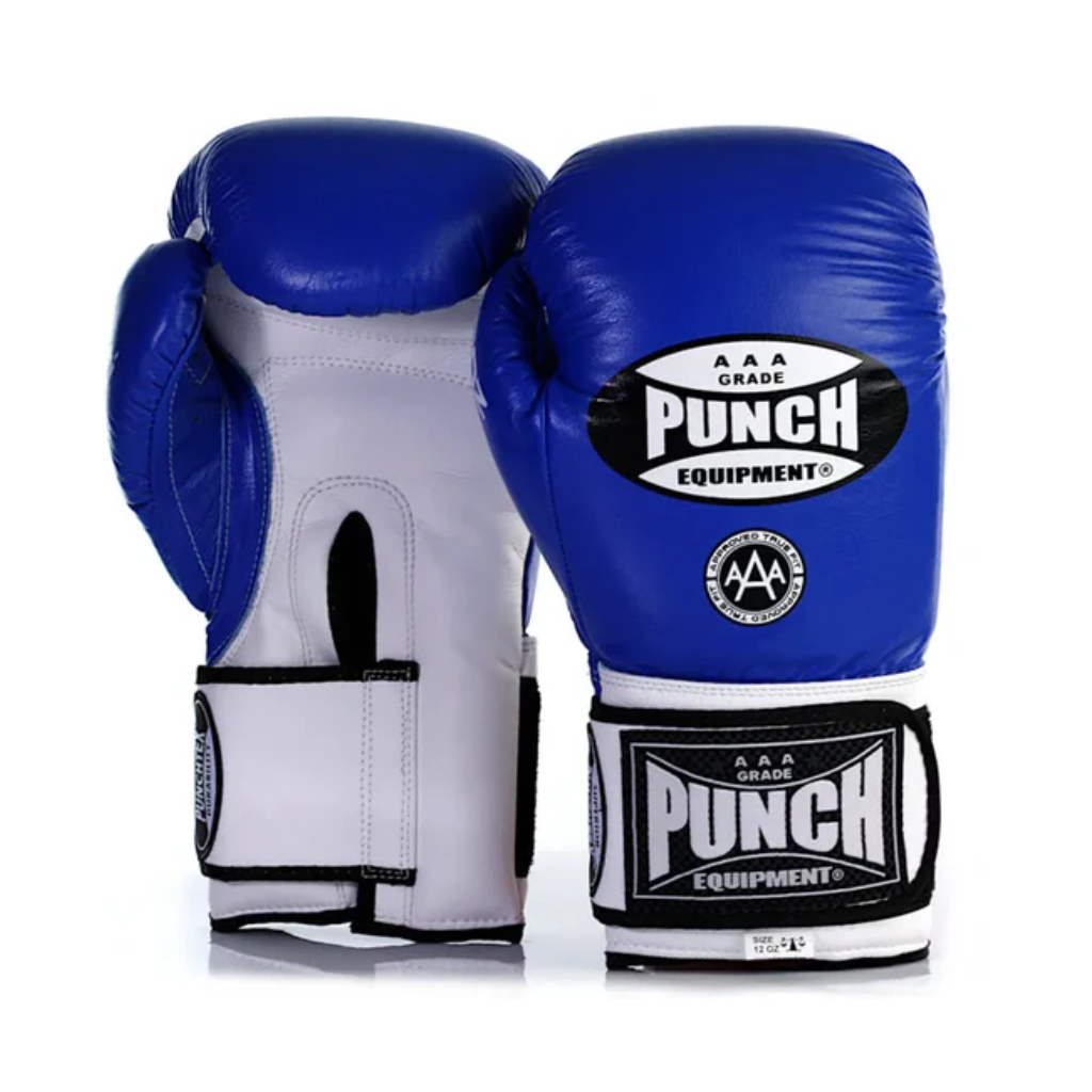 Punch Boxing Gloves Trophy Getters
