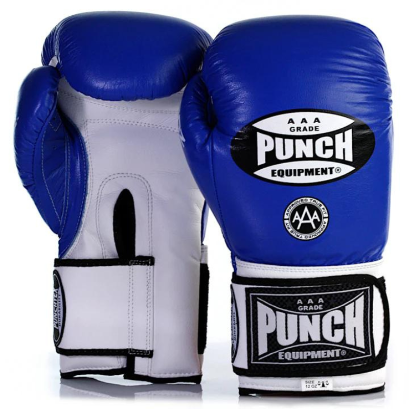 Punch Boxing Gloves Trophy Getters