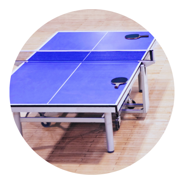 Table Tennis All Armando Sports