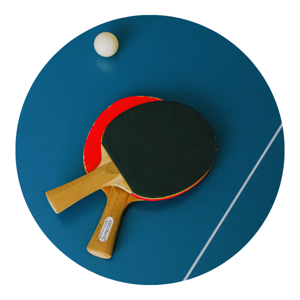 Table Tennis All Armando Sports
