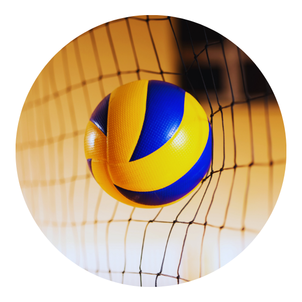 VOLLEYBALLS