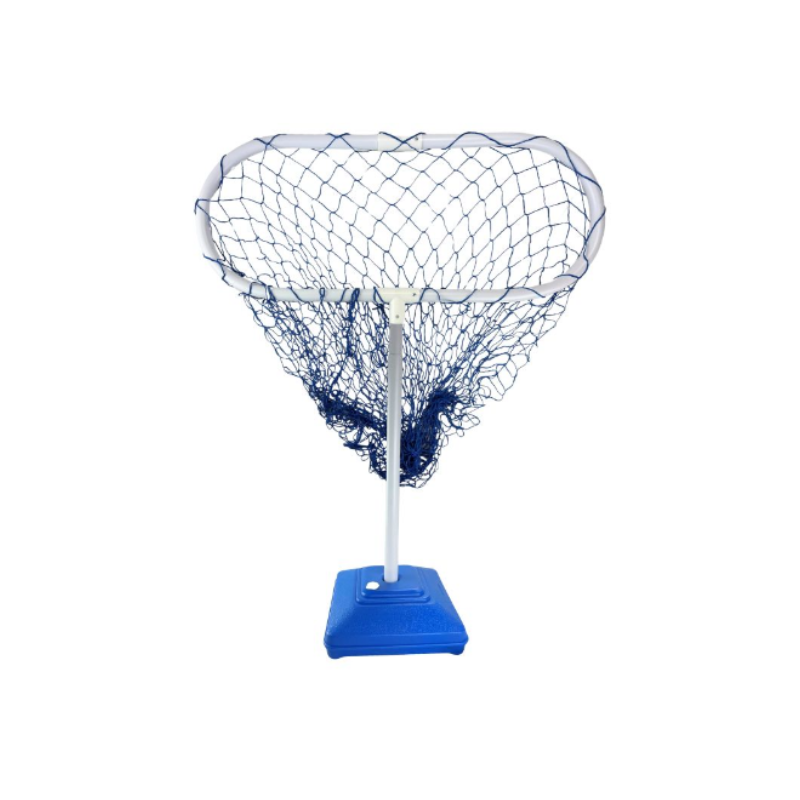 Alliance Air Goal