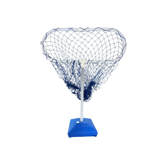 Alliance Air Goal