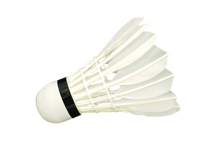 Wish Shuttlecock Feather Training 808