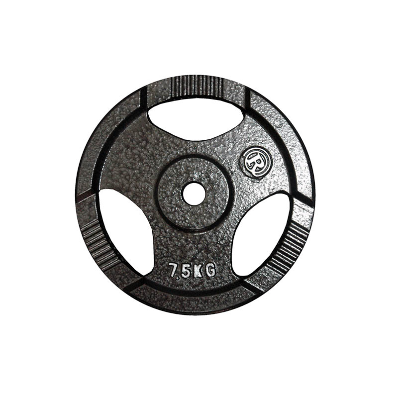 Ringmaster Immortal Weight Plate 5Kg - 28mm