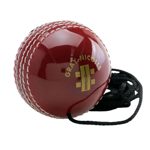 Gray Nicolls Batting Master Ball