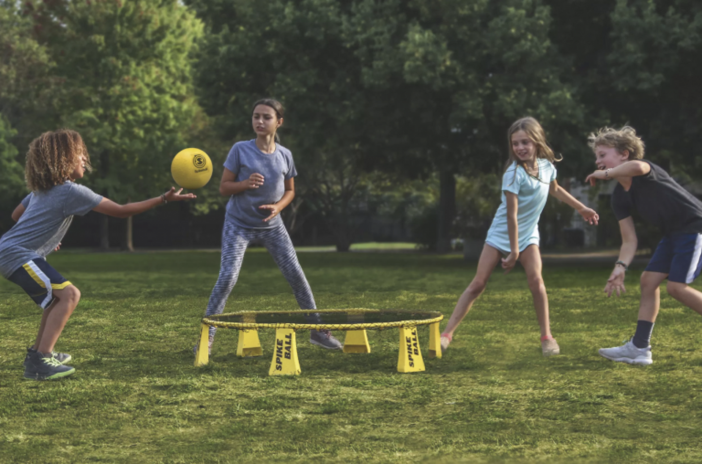 Spikeball Rookie Kit