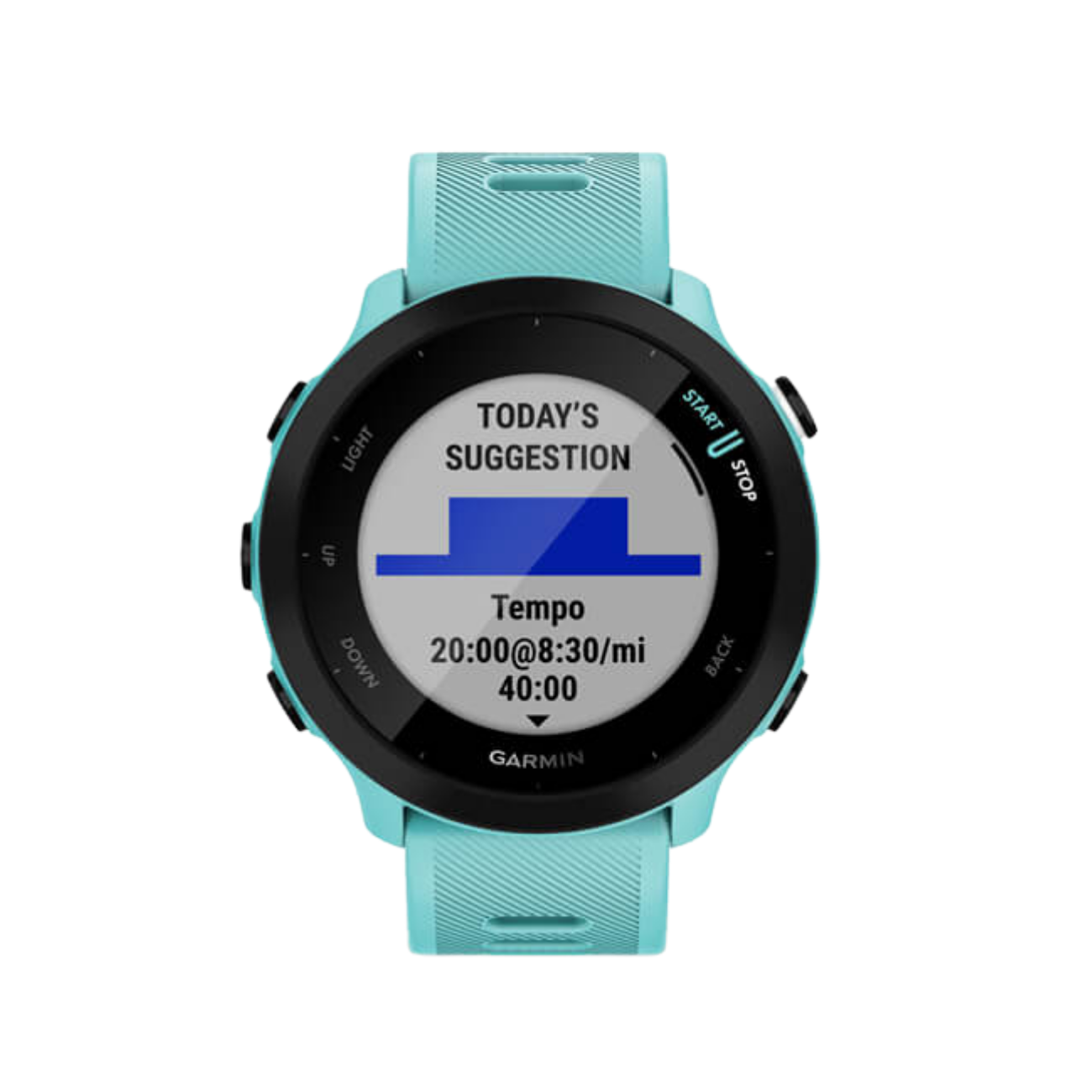 Garmin Forerunner 55 GPS